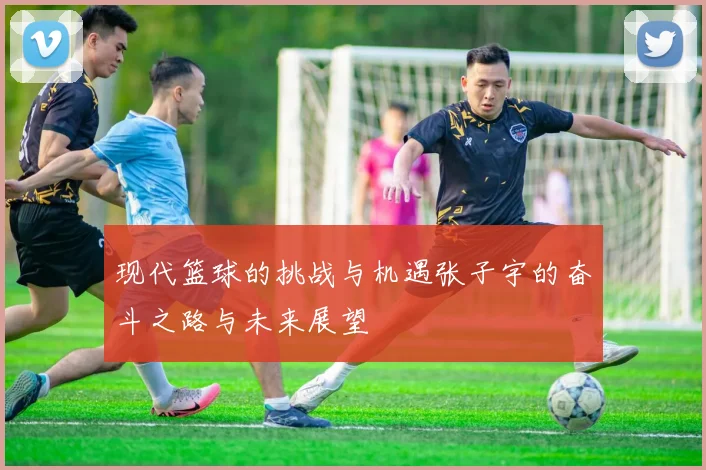 现代篮球的挑战与机遇张子宇的奋斗之路与未来展望
