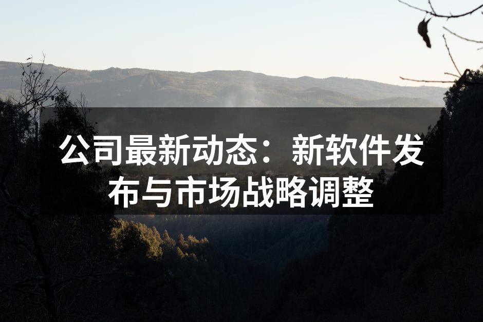 公司最新动态：新软件发布与市场战略调整